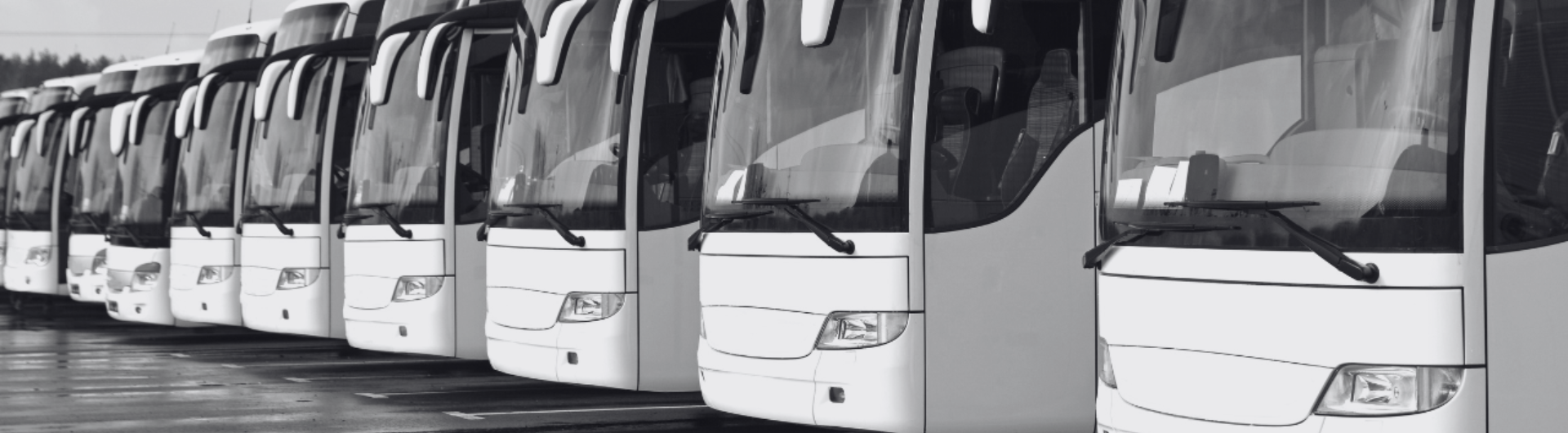 media-wrapper background